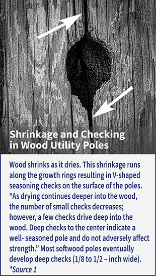 Wood-checking-Graphic-550p-2
